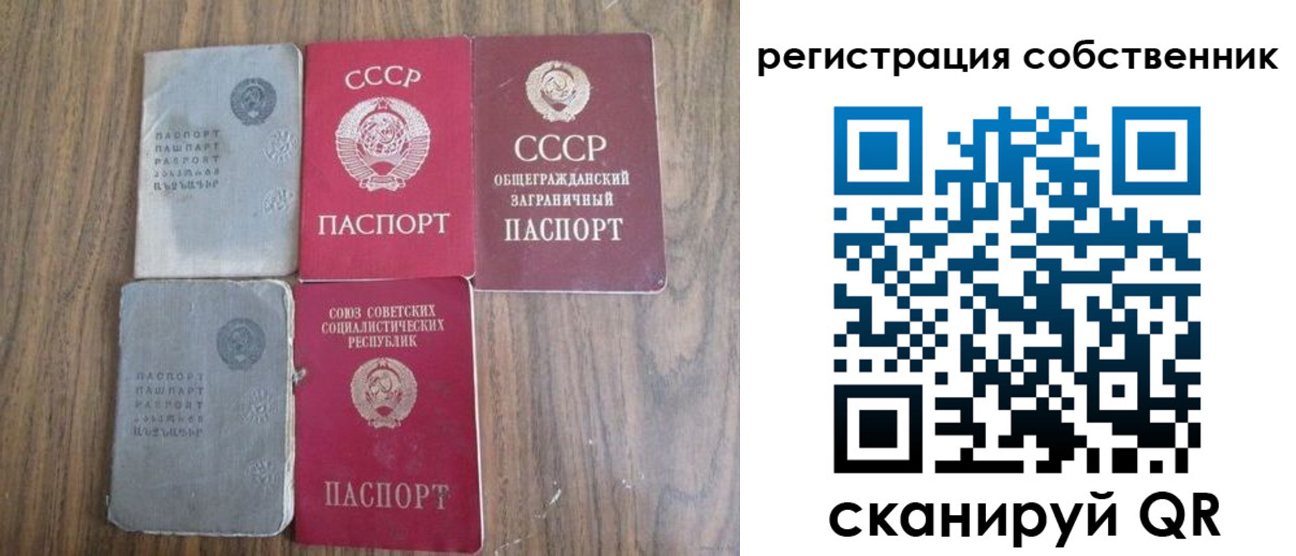 прописка поиск в Видном